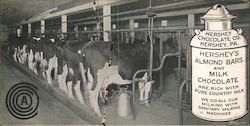 Hershey Chocolate Co. Postcard