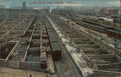 Stock Yards Postcard