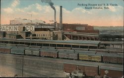 Packing Houses and Rail Road Yards Postcard