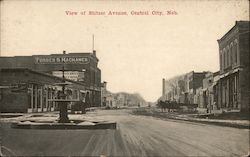 View of Stitzer Avenue Central City, NE Postcard Postcard Postcard