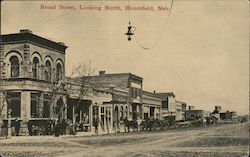 Broad Street, Looking North Bloomfield, NE Postcard Postcard Postcard