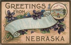 Greetings from Nebraska - Violets Postcard