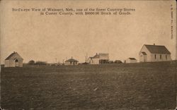 Bird's Eye View of Weissert - Country Store Postcard