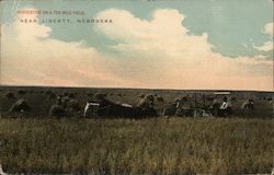 Harvesting On a Ten Mile Field Postcard