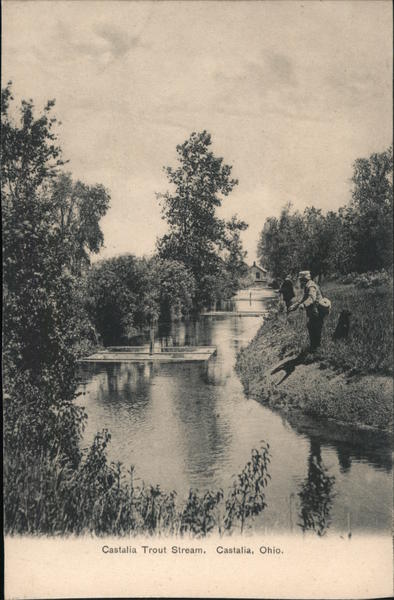 Castalia Trout Stream Ohio