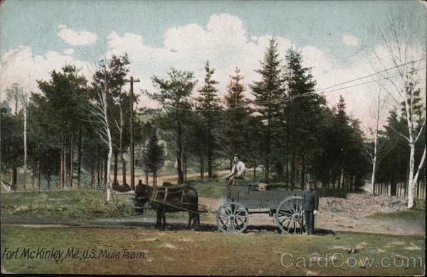 U.S. Mule Team Portland Maine