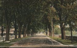 Elm Avenue Postcard