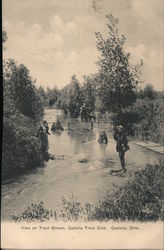 View on Trout Stream, Castalia Trout Club Ohio Postcard Postcard Postcard