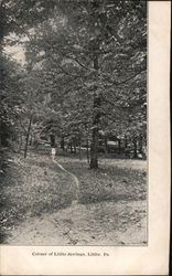 Corner of Lititz Springs Postcard