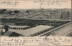 Cattle Pens, Stock Yards Postcard