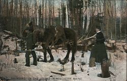 Bringing in the Spoils in Northern Maine Hunting Postcard Postcard Postcard