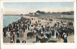 Beach Scenes Postcard