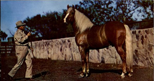 Scenic Greetings From Canton South Dakota