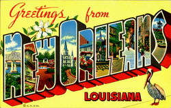 Hello From New Orleans Postcard