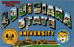 Greetings From Louisiana State University Postcard