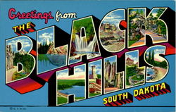 Greetings From The Black Hills South Dakota Postcard Postcard