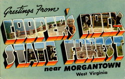 Greetings From Coopers Rock State Forest Morgantown, WV Postcard Postcard