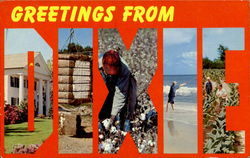 Greetings From Dixie Postcard