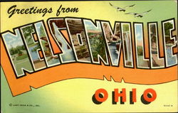 Greetings From Nelsonville Postcard