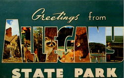 Greetings From Allegany State Park Postcard
