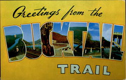 Greetings From Bucktail Trail Postcard