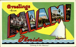 Greetings From Miami Postcard