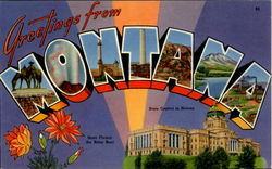 Greetings From Montana Postcard