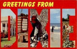 Greetings From Dixie Large Letter Postcard Postcard