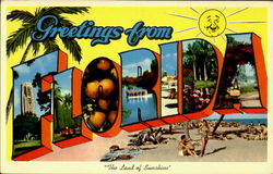 Greetings From Florida Postcard Postcard