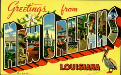 Greetings From New Orleans Postcard