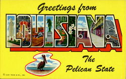 Greetings From Louisiana Postcard Postcard