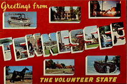 Greetings From Tennessee Postcard Postcard