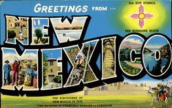 Greetings From New Mexico Postcard