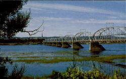 Bridge On St. John River At Fredericton Postcard