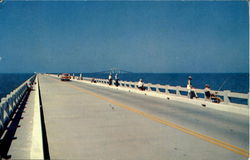 Sunshine Skyway Bridge Scenic, FL Postcard Postcard