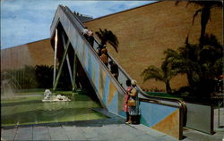 Stairway To The Stars Tampa, FL Postcard Postcard