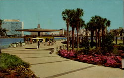 St. Johns River Park And Marina Postcard