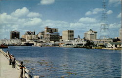 Skyline Of Tampa Florida Postcard Postcard