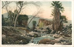 Palm Canyon National Monument Postcard