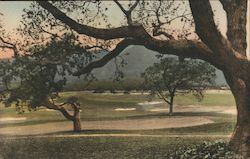 Ojai Golf and Country Club Postcard