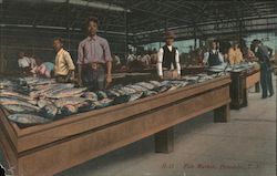 Fish Market Honolulu, HI Postcard Postcard Postcard