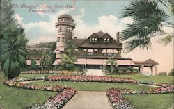 "The Blossoms" Orange Grove Ave. Postcard