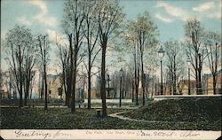 City park Postcard