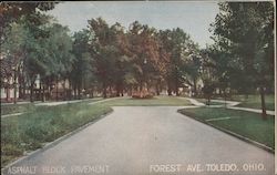 Asphalt Block Pavement Forest Ave. Toledo, OH Postcard Postcard Postcard