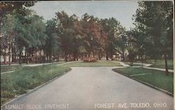 Asphalt Block Pavement Forest Ave. Postcard