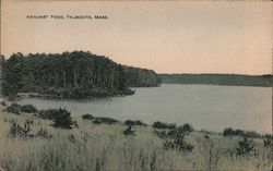 Ashumet Pond Falmouth, MA Postcard Postcard Postcard