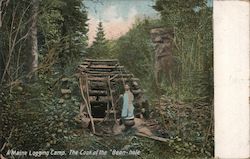 A Maine Logging Camp - The Cook of the "Bean-hole" Postcard