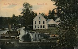 State Fish Hatchery Postcard