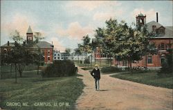 Campus of U of M Orono, ME Postcard Postcard Postcard