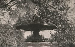 Umbrella Rest - Kinnear Park Postcard